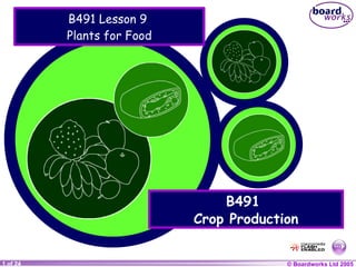 B491 Lesson 9  Plants for Food B491  Crop Production 