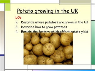 Potato growing in the UK ,[object Object],[object Object],[object Object],[object Object]