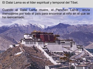 El Dalai Lama es el líder espiritual y temporal del Tíbet.
Cuando el Dalai Lama muere, el Panchen Lama envía
mensajeros por todo el país para encontrar al niño en el que se
ha reencarnado.
 