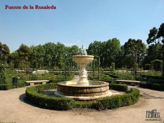 Fuente de la Rosaleda 