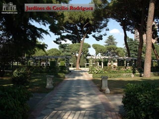 Jardines de Cecilio Rodríguez 