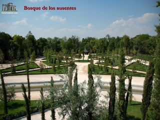 Bosque de los ausentes 