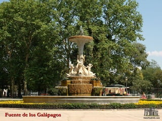 Fuente de los Galápagos 