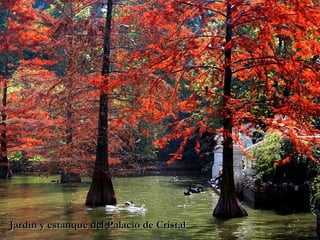 Jardín y estanque del Palacio de Cristal 