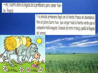 El burrito descontento