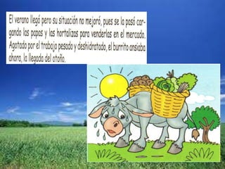 El burrito descontento