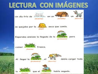 El burrito descontento