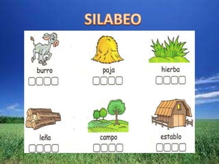 El burrito descontento