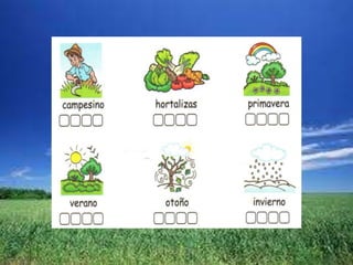 El burrito descontento