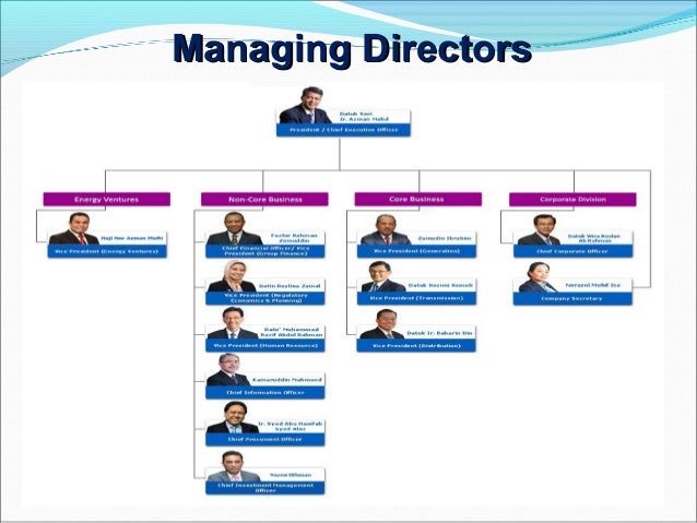 Tnb Remaco Organization Chart