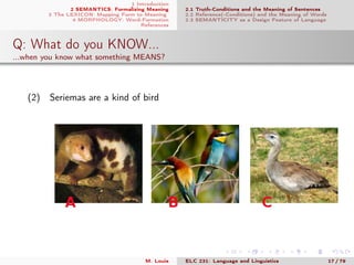 Introduction to Language and Linguistics 004: The Lexicon, Morphology ...
