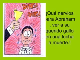 ¡Qué nervios para Abraham , ver a su querido gallo en una lucha a muerte.! 