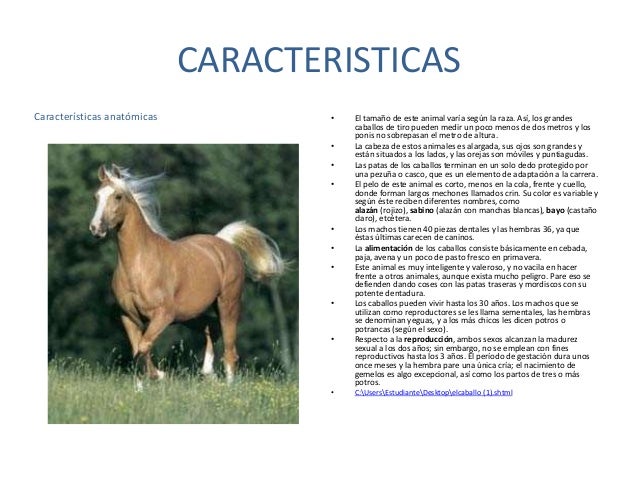 El caballo