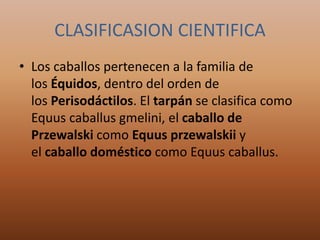 CLASIFICASION CIENTIFICA
• Los caballos pertenecen a la familia de
los Équidos, dentro del orden de
los Perisodáctilos. El tarpán se clasifica como
Equus caballus gmelini, el caballo de
Przewalski como Equus przewalskii y
el caballo doméstico como Equus caballus.
 