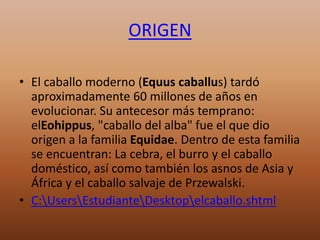 ORIGEN
• El caballo moderno (Equus caballus) tardó
aproximadamente 60 millones de años en
evolucionar. Su antecesor más temprano:
elEohippus, "caballo del alba" fue el que dio
origen a la familia Equidae. Dentro de esta familia
se encuentran: La cebra, el burro y el caballo
doméstico, así como también los asnos de Asia y
África y el caballo salvaje de Przewalski.
• C:UsersEstudianteDesktopelcaballo.shtml
 
