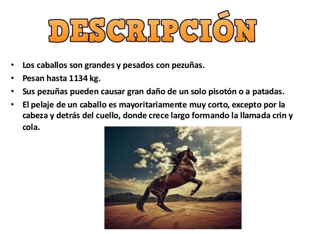 El libro kinga que adelgaza leer onlayn gratis