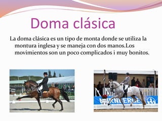Doma clásica
La doma clásica es un tipo de monta donde se utiliza la
montura inglesa y se maneja con dos manos.Los
movimientos son un poco complicados i muy bonitos.
 