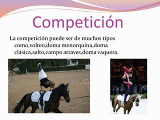 Competición
La competición puede ser de muchos tipos
como,volteo,doma menorquina,doma
clásica,salto,campo atraves,doma vaquera.
 