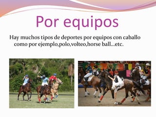 Por equipos
Hay muchos tipos de deportes por equipos con caballo
como por ejemplo,polo,volteo,horse ball…etc.
 