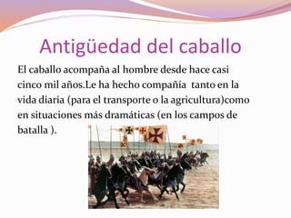 Antigüedad del caballo
El caballo acompaña al hombre desde hace casi
cinco mil años.Le ha hecho compañía tanto en la
vida diaria (para el transporte o la agricultura)como
en situaciones más dramáticas (en los campos de
batalla ).
 