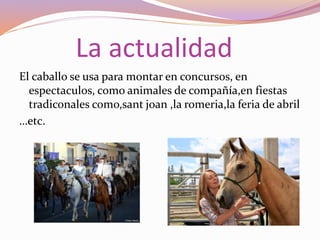 La actualidad
El caballo se usa para montar en concursos, en
espectaculos, como animales de compañía,en fiestas
tradiconales como,sant joan ,la romeria,la feria de abril
…etc.
 