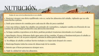 NUTRICIÓN.
Reglas de una correcta alimentación en un caballo:
1. Mantener siempre una dieta equilibrada: esto es, variar los alimentos del caballo, vigilando que no sólo
coma hierba o pienso.
2. Darle gran número de comidas pero cada una de ellas de poca cantidad
3. Cree una rutina y sígala: los caballos son animales de costumbres, cualquier cambio en el horario de sus
comidas de puede llegar producirles una alteración intestinal.
4. No haga cambios repentinos en la dieta: podrían producir trastornos intestinales en el animal.
5. Agua limpia y fresca: debemos darle agua antes de las comidas. El agua es fundamental para el caballo ya
que supone un 60% de su peso corporal y además la utiliza para la digestión.
6. No obligue al caballo a realizar fuertes trabajos o a viajar justo después de comer.
7. Mantenga limpias todas las zonas de almacenaje de la comida.
8. Intente que el heno permanezca siempre seco.
9. Vigile la calidad de todos los alimentos.
 