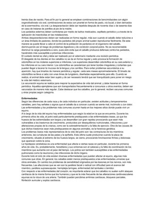 treinta días de nacido. Para al fin por lo general se emplean combinaciones de bencimidazoles con algún
organofosforado vía oral, combinaciones de estos con pirantel en forma de pasto, vía bucal, o bien derivados
de la avermectina, vía oral. La desparacitación debe ser repetida después de noventa días o de sesenta días
en caso de tratarse de potrillos al pie de la madre.
Los parásitos externos deben controlarse por medio de baños medicados, cepillado periódico y a través de la
aplicación de insecticidas en las instalaciones.
Ambas desparacitaciones deben ser realizadas en forma regular, más aun cuando el caballo debe reducirse a
un área limitada de pastoreo, donde los parásitos del propio animal suelen reproducirse fácilmente. De esta
manera se puede llevar a cabo el control de la población de parásitos en el organismo del caballo,
disminuyendo así el riesgo de problemas digestivos y de condición corporal pobre. No es recomendable
disminuir la carga parasitaria a cero, pues esto evita que el caballo produzca defensas contra los parásitos,
haciéndolo más susceptible a próximas infecciones.
El cuidado dental es vital y debe ser realizado por el veterinario mediante una revisión periódica.
El desgaste de los dientes en los caballos no se da en forma regular y esto provoca la formación de
odontofitos en los molares superiores e inferiores. Los superiores desarrollan odontofitos en su cara exterior y
los inferiores en su cara interior. Los odontofitos se caracterizan por tener bordes irregulares y cortantes que
pueden llegar a lacerar la mucosa de la lengua y los carrillos. Para evitar problemas secundarios a su
aparición, hay que limarlos de manera periódica y regular, cada seis meses aproximadamente. El limado de
odontofitos se lleva a cabo con unas limas de tungsteno, diseñadas especialmente para ello. Cuando se
realiza, el animal debe estar bien sujeto y de ser necesario tendrá que ser tranquilizado para poner en riesgo
la vida del médico veterinario.
La vacunación equina se realiza para mejorar la expectativa de vida del animal, y debe hacerse en forma
periódica. Aquellos ejemplares que son transportados frecuentemente a concursos u otros eventos, deben ser
vacunados de manera más regular. Cabe destacar que los caballos, por lo general, reciben vacunas comunes
y otras propias según categoría.
Enfermedades
Según las diferencias de cada raza y de cada individuo en particular, existen actitudes y temperamentos
variables, pero hay señales o signos que el caballo da a conocer cuando se siente mal, incómodo o con dolor.
Las enfermedades y los problemas más comunes ocurren hasta en los mejores sitios donde puede vivir un
equino.
A lo largo de la vida del equino hay enfermedades que según la edad en la que se encuentra. Durante los
primeros años de vida, el potro está particularmente predispuesto a las enfermedades óseas, ya que los
huesos de las extremidades son largos y se desarrollan con gran rapidez provocando que sean más
vulnerables a los trastornos de crecimiento, producidos por desequilibrios nutricionales, infecciones y por
alteraciones propias de la crianza, como ser la sobrealimentación y la falta de ejercicio. Otra de las causas de
que dichos trastornos sean más predispuestos en algunos animales, es la herencia genética.
Los problemas óseos más representativos de la vida del potro son: las contracturas de los miembros
anteriores, las curvaturas de las patas y la epifisitis. Esta última suele producirse cuando la placa de
crecimiento, situada al extremo de los huesos largos, se cierra, provocando hinchazones firmes y dolorosas
que aparecen sobre la zona.
La hipolapsia cerebelosa es una enfermedad que afecta a ciertas razas en particular, durante los primeros
años de vida. Es, probablemente, hereditaria y sus síntomas son el cabeceo y la falta de coordinación de los
miembros que aumenta con el paso del tiempo. Los potros son también susceptibles a las enfermedades
pulmonares como la neumonía y las infecciones de dicho órgano.
Durante todo el ciclo de vida existen diversas enfermedades que pueden afectar al equino, algunas más
comunes que otras. En general, los caballos están menos predispuestos a las enfermedades urinarias que
otros animales. En cambio los problemas de sensibilidad originados por las lesiones en los nervios, son más
frecuentes. Las afecciones que se ven son la parálisis facial o radical con dificultad para el avance del
miembro, parálisis supraescapular, hemiplejia laríngea, enfermedad del tambaleo o temblor.
Con respecto a las enfermedades del corazón, es importante aclarar que los caballos no suelen sufrir ataques
cardíacos de la misma forma que los humanos y que es la más frecuente de las alteraciones cardiovasculares
equinas es la rotura de una arteria. También pueden percibirse arritmias cardíacas, bloqueos parciales,
fibrilación auricular y soplos cardíacos.

 