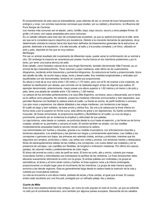 El comportamiento de esta raza es sobresaliente, pues además de ser un animal de buen temperamento, es
enérgico y vivaz, con prontas reacciones nerviosas que revelan, por su calidad y dinamismo, la influencia del
Pura Sangre de Carreras.
Los mantos más comunes son el alazán, zaino, tordillo, bayo, bayo oscuro, oscuro y otros pelajes firmes. El
grullo y el overo, son capas aceptadas pero poco comunes.
Es un caballo utilizado para todo tipo de competencias ecuestres, ya que su aptitud principal es la silla, tanto
así que se lo considera equino deportivo por excelencia. Debido a la creciente demanda de ejemplares, de ja
determinado orientar la crianza hacia dos tipos bien definidos de lineamientos generales de la estructura: el
grande, destinado a la equitación, a la alta escuela, al salto y a la prueba completa, y el chico, utilizado en
polo y pato, deportes en los que es muy exitoso.
Morfología
Por ser un animal resultado del cruzamiento de diferentes razas, puede variar la conformación de un animal a
otro. Sin embargo la mayoría se caracteriza por poseer mucha fuerza en los miembros posteriores y por lo
tanto, por tener una buena técnica de salto.
Este caballo, como heredero natural de la raza Anglo Normando, también denominado Silla Francés, es un
animal de tipo mesodolocoformo. Tiene volumen y peso medianos, este último es de cuatrocientos
kilogramos, oscilando entre trescientos y quinientos kilogramos. Su estructura es fuerte y proporcionada, típica
del caballo de silla, de acción baja y larga, recta y desenvuelta. Sus medidas longitudinales y verticales son
equilibradas con las transversales, teniendo en cuenta sus proporciones.
Su altura a nivel de la cruz varía entre 1,55 metro y 1,75 metro, pero con el fin de orientar a los criadores, se
realizan la clasificación por alzada, que coincide con la realizada según el tipo de deporte que realiza. El
ejemplar denominado, anteriormente, mayor posee una altura superior a 1,62 metros y el menor o de polo y
pato, tiene una alzada de variable entre 1,52 metros y 1,58 metros.
La cabeza de los animales pertenecientes a la raza Silla Argentino, es liviana, seca y descarnada, por lo tanto
se la califica como pequeña. No obstante, posee los maxilares inferiores pronunciados y bien separados, que
permiten flexionar con facilidad la cabeza sobre el cuello. La frente es ancha, de perfil rectilíneo o convexo.
Los ojos vivos y expresivos, los ollares dilatados y las orejas medianas, con tendencia a ser largas.
El cuello es largo y bien soldado, de base ancha y vértice fino. Se une a la cabeza por la línea inferior en
forma recta y por la superior en forma curva, esta última es grácil y sin depresiones. Su fuerte constitución
muscular, de líneas armoniosas, le proporciona equilibrio y flexibilidad en el cuello. La cruz es larga y
prominente, poniendo así en evidencia la amplitud y oblicuidad de sus paletas.
La caja torácica, vista desde un costado, es profunda desde la cruz hasta el esternón, y de frente es de forma
ovalada, amplia en su perímetro y cercana al suelo. El vientre también es amplio, con las costillas
moderadamente arqueadas hasta la sección donde comienza la cadera.
Las extremidades son fuertes y robustas, gracias a su notable musculatura, con articulaciones enjuntas y
tendones separados. Los antebrazos y las piernas son largos y correctamente aplomados. Las rodillas y los
corvejones o garrones son bajos, las primeras son además chatas, anchas y profundas, mientras que los
segundos son amplios, profundos y netos. Las cañas son cortas y anchas, con tendones fuertes y destacados,
libres de estrangulamientos debajo de las rodillas y los corvejones. Los nudos deben ser ovalados y sin la
presencia de cernejas. Las cuartillas son flexibles, de longitud e inclinación medianas. Por último los cascos,
parejos, de volumen medio y preferentemente de color negro.
El dorso del animal es corto y visto de perfil es recto. El lomo es corto, alto y ancho, cubierto por masas
musculares fuertes y redondeadas que sobrepasan la apófisis de las vértebras. La línea dorsolumbar debe
elevarse suavemente reforzando la unión con la grupa. Si ambas paletas son inclinadas y la grupa es
semioblicua, el dorso y el lomo serán cortos y fuertes, la línea superior corta y la inferior prolongada,
proporcionando un amplio lugar para el movimiento de los miembros. La grupa de esta manera aporta
armonía a las demás regiones. Esta es generalmente larga desde la cadera hasta la inserción de la cola y
cubierta por musculatura extensa.
La cola se encuentra a una altura media, poblada de lacias y finas cerdas, al igual que el tuse. El cuerpo
entero está recubierto por una fina piel, protegida por un refinado pelaje, liso y sedoso.
Cuarto de Milla
Esta es la raza estadounidense más antigua, así como la más popular en todo el mundo, ya que se extiende
no sólo por el continente americano, sino también por algunos países europeos. Desciende de los caballos

 