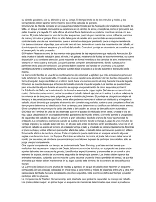 su sentido ganadero, por su atención y por su coraje. El tiempo límite es de dos minutos y medio, y los
competidores deben apartar como máximo dos o tres cabezas de ganado.
El Concurso de Rienda consiste en un esquema predeterminado por la Asociación de Criadores de Cuarto de
Milla, en el que el caballo demuestra su excelencia en el cambio de aires y maniobras, como el giro sobre sus
patas traseras y la rayada. En esta última, el animal frena deslizando su posterior mientras camina con sus
manos. El jinete debe recorrer uno de los diez esquemas, que incluyen maniobras, spins, rollbacks, cambios
de mano y círculos al galope. Pero no sólo debe guiar al caballo, sino que también es responsable de
controlar cada uno de sus movimientos, pues el animal se deja guiar prestando poca o ninguna resistencia.
Los jueces colocaran el puntaje, que varía del cero al cien, teniendo en cuenta los movimientos del caballo, el
dominio ejercido sobre el esquema y la actitud del caballo. Cuando el puntaje es de setenta, se considera que
el desempeño ha sido promedio.
El Western Pleasure es uno de los eventos más populares de las exposiciones que realiza la Asociación. En
esta prueba el caballo trabaja el paso, el trote, y el galope, mostrando la fluidez de sus movimientos, su buena
disposición y su constante atención, pues responde en forma inmediata a los cambios de aire, manteniendo
siempre un ritmo suave y tranquilo. Los participantes compiten simultáneamente, dando vueltas por el
perímetro de la pista de exhibición. Los jinetes deben sostener las riendas en una mano y no pueden
cambiarla durante la competencia, tampoco pueden tocar al caballo o a la silla durante el transcurso de la
misma.
La Carrera de Barriles es una de las combinaciones de velocidad y agilidad, que más entusiasmo genera en
toda exhibición de Cuarto de Milla. El caballo se mueve rápidamente alrededor de tres barriles dispuestos en
forma triangular, luego de doblar en el último barril, hace una carrera contra el reloj, hacia la línea de llegada.
El tiempo se cuenta desde que el hocico del caballo cruza la línea de largada. Los barriles se pueden tocar,
pero si se derriba alguno durante el recorrido se agrega una penalización de cinco segundos por barril.
La Exhibición de Salto, es la culminación de todos los eventos de origen inglés. Se basa en un recorrido de
cuatro obstáculos como mínimo, sobre los cuales el caballo deberá ejecutar ocho saltos. La altura máxima de
los mismos es de tres pies y seis pulgadas, para la división de jóvenes. El puntaje es otorgado se adapta al
tiempo y a las penalizaciones por faltas, entre ellas podemos nombrar el voltear un obstáculo y el negarse a
saltarlo. Aquel binomio que completa el recorrido sin cometer ninguna falta, vuelve a una competencia final de
tiempo para determinar su clasificación final de tiempo para determinar su clasificación definitiva en el evento.
El no completar el recorrido por la caída del jinete o del caballo, es causa de descalificación automática.
El Enlace de Terneros es una de las destrezas que en el pasado se realizaba en el oeste, y hasta el día de
hoy, sigue utilizándose en los establecimientos ganaderos del mundo entero. El evento somete a una prueba
de capacidad del caballo de seguir un ternero a gran velocidad, dándole al jinete la mejor oportunidad de
enlazarlo. La competencia comienza cuando se suelta al ternero desde la manga. Luego de unos minutos de
ventaja el jinete y su caballo salen del box, en el caso salir antes de tiempo serán penalizados. Una vez en el
campo el caballo se acerca al ternero, el enlazador arroja el lazo y el caballo se detiene rápidamente. Mientras
el jinete se baja y voltea al ternero para poder atarle las patas, el caballo debe permanecer quieto con el lazo
firmemente atado a la montura y tenso. Esta competencia puede realizarse en equipos variando algunas
reglas y se denomina Lazo por Equipos. Participan en ella dos binomios, el jinete del primero debe tomar al
novillo por las astas y el otro tiene que enlazarlo por sus talones. A pesar de participar dos caballos, sólo se
juzga uno por competencia.
Otra popular competencia por tiempo, es la denominada Team Penning, y se basa en ñas tareas que
realizaban los vaqueros en la época del Oeste, tal como su nombre lo indica, un equipo de tres jinetes debe
apartar del rodeo tres cabezas de ganado, identificados específicamente, y encerrarles en un corral al otro
extremo de la pista, dentro de los noventa segundos de tiempo que poseen. Los jinetes deben apartar los
animales marcados, cuidando que no más de cuatro vacunos crucen la línea o perderán el tiempo, ya que los
animales que restan deben mantenerse en su lugar cuando este termine, de lo contrario se descalificará al
equipo.
La Carrera de Estacas es una prueba de rapidez y agilidad, en la que el caballo debe recorrer un esquema
compuesto por seis estacas colocadas en línea recta, a seis metros y medio de distancia entre una y otra. Por
cada estaca derribada hay una penalización de cinco segundos. Este evento se define por tiempo y pueden
participar sólo los jóvenes.
La competencia de Western Horsemanship, está diseñada para probar la capacidad de manejo del caballo.
Los jinetes deben seguir, en primer lugar un esquema de maniobras determinadas que ponen a prueba su

 