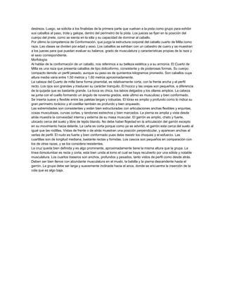destreza. Luego, se solicita a los finalistas de la primera parte que vuelvan a la pista como grupo para exhibir
sus caballos al paso, trote y galope, dentro del perímetro de la pista. Los jueces se fijan en la posición del
cuerpo del jinete, como se sienta en la silla y su capacidad de dominar al caballo.
Por último la competencia de Conformación, que juzga la estructura corporal del caballo cuarto de Milla como
raza. Las clases se dividen por edad y sexo. Los caballos se exhiben con un cabestro de cuero y se muestran
a los jueces para que puedan evaluar su balance, grado de musculatura y características propias de la raza y
el sexo correspondiente.
Morfología:
Al hablar de la conformación de un caballo, nos referimos a su belleza estética y a su armonía. El Cuarto de
Milla es una raza que presenta caballos de tipo dolicoformo, consistente y de poderosas formas. Su cuerpo
compacto denota un perfil pesado, aunque su peso es de quinientos kilogramos promedio. Son caballos cuya
altura media varia entre 1,50 metros y 1,60 metros aproximadamente.
La cabeza del Cuarto de milla tiene forma piramidal, es relativamente corta, con la frente ancha y el perfil
recto. Los ojos son grandes y traslucen su carácter tranquilo. El hocico y las orejas son pequeños, a diferencia
de la quijada que es bastante grande. La boca es chica, los labios delgados y los ollares amplios. La cabeza
se junta con el cuello formando un ángulo de noventa grados, este ultimo es musculoso y bien conformado.
Se inserta suave y flexible entre las paletas largas y robustas. El tórax es amplio y profundo como lo indica su
gran perímetro torácico y el costillar también es profundo y bien arqueado.
Las extremidades son consistentes y están bien estructuradas con articulaciones anchas flexibles y enjuntas,
coxas musculosas, curvas cortas, y tendones estrechos y bien marcados. La pierna es amplia y vista desde
atrás muestra la convexidad interna y externa de su masa muscular. El garrón es amplio, chato y fuerte,
ubicado cerca del suelo y libre de tejido blando. No debe haber flojedad en la articulación del garrón excepto
en su movimiento hacia delante. La caña es corta porque como ya se advirtió, el garrón esta cerca del suelo al
igual que las rodillas. Vistas de frente o de atrás muestran una posición perpendicular, y aparecen anchas al
verlas de perfil. El nudo es fuerte y bien conformado pues debe resistir los choques y el esfuerzo. Las
cuartillas son de longitud mediana, bastante rectas y fornidas. Los cascos son pequeños en comparación con
los de otras razas, y se los considera resistentes.
La cruz queda bien definida y es algo prominente, aproximadamente tiene la misma altura que la grupa. La
línea dorsolumbar es recta y corta, esta bien unida al lomo el cual se haya recubierto por una sólida y notable
musculatura. Los cuartos traseros son anchos, profundos y pesados, tanto vistos de perfil como desde atrás.
Deben ser bien llenos con abundante musculatura en el muslo, la babilla y la pierna descendente hasta el
garrón. La grupa debe ser larga y suavemente inclinada hacia el anca, donde se encuentra la inserción de la
cola que es algo baja.

 