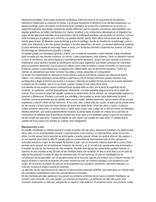 altamente sensibles, sirven para recolectar el alimento. Este funciona en la conjunción de los dientes
delanteros sostenidos al cosechar la hierba, y la lengua transporta el alimento a los dientes posteriores. La
lengua es larga, pues concuerda con la forma de la cavidad y se ensancha y redondea en su punta. La
superficie presenta abundante cantidad de papilas filiformes que le imparten una textura aterciopelada. Las
papilas gustativas se hallan distribuidas con menos amplitud. Los conductores descargan en el digestivo los
jugos de las glándulas salivales de la mandíbula y de la sublingual parótida, que se abren en la boca. La boca
está formada por el paladar duro al frente y el paladar blando detrás. Éste último forma parte de la faringe
donde pasa el aire. El alimento cruza la faringe y entra al esófago, donde se transforma al estómago y por lo
tanto a los intestinos, a los dos puntos grandes, a los dos pequeños y el recto. La cavidad abdominal contiene
la zona alimenticia desde el estómago hasta al recto y en la hembra también contendrá los ovarios y el útero.
El estómago es relativamente pequeño y simple.
El caballo posee una dentadura grande y fuerte, con un total de cuarenta y cuatro dientes. Cada mandíbula
está formada por tres dientes incisivos, un canino, cuatro premolares y tres molares. Tanto su alimento natural
y como el doméstico, son duros ásperos y asombrosamente abrasivos, es por eso que necesita una buena
masticación para partirlo y facilitar la penetración de los jugos digestivos que deben procesar los nutrientes
para su posterior absorción. Los incisivos se utilizan para cortar la hierba y crecen formando un semicírculo.
Entre los caninos y premolares hay un espacio bien diferenciado que se denomina diastema. Todos los
dientes se caracterizan por tener coronas muy altas y raíces pequeñas en comparación
La acción de masticatoria se efectúa en forma oblicua, pues la mandíbula superior es más ancha que la
inferior. Los cantos exteriores de los dientes superiores y de los bordes inferiores puedes hacerse muy
puntiagudos y llegar a pinchar las encías o la lengua. Además se pueden formar cantos en la parte delantera
o trasera de los molares, que si no se liman, pueden causar el mal cierre de la boca.
Los dientes de los equinos crecen continuamente durante toda su vida, por lo tanto la superficie de los
incisivos, en particular, cambia gradualmente, ofreciendo una idea bastante segura acerca de la edad del
animal. Para conocer la edad del caballo mediante la observación de los dientes, es indispensable explicar su
posición y diferencias. Primero y principal, los colmillos y las muelas no sirven para determinar la edad.
También conviene entender que el caballo nace ya con cuatro dientes mamones, dos en medio de las encías
superiores y dos en medio de las inferiores. A los ocho, diez o doce días de nacido, el potro ya los posee fuera
de las encías y al año tiene los doce dientes de leche que debe tener. A los dos años y medio, muda los
cuatro primeros mamones y a los tres años y medio otros cuatro más. Luego de un año le crecen los llamados
dientes extremos, que serán posteriormente incisivos. Cuando estos ya están en medio de su período de
crecimiento se advierte que el animal ya cumplió los cinco años y al manifiesto parejo e igual de los mismos,
ha de cumplir los seis años. Cuando el diente se nota rancio, ya cumplió los siete años. A medida que el
caballo de hace mayor, los dientes se vuelven más triangulares.
Reproducción y cría
El caballo manifiesta su instinto sexual al cumplir el primer año de vida y alcanza la pubertad a la edad de dos
años, pero no es recomendable someter a apareamiento a los machos, ni a las hembras antes de los tres
años. La vida sexual de los equinos es prolongada y puede superar incluso los quince años en las yeguas, y
en los machos dura toda la vida. El caballo está en condiciones de reproducirse todo el año, aunque su
actividad sexual es mayor en los meses de febrero a julio, con un momento máximo entre abril y junio. Este
período se lo conoce con el nombre de "estación de monta" y en él, el estímulo sexual está más acentuado y
el estado de celo de las hembras es más evidente. Durante esta época los sementales pueden realizar un
máximo de dos cópulas al día. El celo de las hembras tiene una duración de tres a ocho días y en el caso de
falta de fecundación lo repite al cabo de veintidós días. En las hembras, el celo se manifiesta con la
tumefacción de los genitales, con el enrojecimiento de la mucosa vaginal y la emisión de un líquido viscoso; la
yegua muestra a menudo la posición de orinar, levanta la cola, se muestra inquieta y con tendencia a dar
coces. En el macho el estado de celo se ve acompañado por inquietud, excitación, relinchos intensos y a
menudo muestra el órgano sexual en erección.
La elección de los reproductores se basa en la denominada selección artificial, que debe tener en cuenta tanto
los caracteres morfológicos como las características funcionales.
En las hembras grávidas aparecen muy pronto los primeros síntomas de la nueva condición fisiológica: se
muestra más tranquila, con más apetito, sus mamas se engrosan y el abdomen al cabo del quinto mes
aumenta claramente su volumen, adoptando un aspecto más esférico. El embarazo tiene una duración media

 