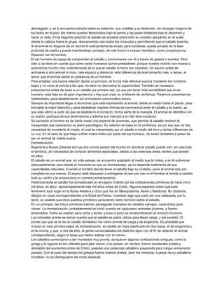 aborregado, y se lo encuentra echado sobre su esternón, sus costillas y su abdomen, sin recargar ninguno de
los lados en el piso; las manos quedan flexionados bajo el pecho y las patas dobladas bajo el abdomen y
hacia un lado. En la segunda posición el caballo se acuesta sobre todo su costado apoyando en el suelo
desde la cabeza hasta la grupa, descansando casi todos los músculos y permitiendo que el caballo duerma.
Si el animal no dispone de un recinto lo suficientemente amplio para tumbarse, queda privado de la fase
profunda de sueño y puede manifestarse cansado, de mal humor e incluso neurótico, como consecuencia.
Relación con el hombre:
El ser humano es capaz de comprender al caballo y comunicarse con él a través de gastos o sonidos. Pero
sólo si se tiene en cuenta que como seres humanos somos predadores, porque nuestro instinto nos mueve a
acercarnos mucho más violentamente de lo que el caballo lo haría con nosotros. Un equino antes de
arrimarse a otro animal lo mira, crea espacio y distancia; esta diferencia de acercamiento crea, a veces, el
temor que el animal siente en presencia de un hombre.
Para entablar una buena relación desde un principio, la forma más efectiva supone mantener los hombros
bajos y no mirar al animal a los ojos, es decir no demostrar la superioridad. También es necesario
presentarnos antes de tocar a un caballo por primera vez, ya que por tener más sensibilidad que el ser
humano, esta fase es de gran importancia y hay que crear un ambiente de confianza. Podemos presentarnos
hablándoles, para estableciendo así el contacto comunicativo previo.
Siempre es importante llegar a reconocer qué está expresando el animal, desde el miedo hasta el placer, para
brindarle la mejor atención y para establecer mejores formas de convivencia entre el caballo y el dueño, ya
que este último a partir de que se estableció el contacto, forma parte de la manada. El animal se identifica con
su dueño, participa de sus sentimientos y adivina sus intentos a la más leve iniciación.
Su sumisión al hombre es de cierto modo una especie de acomodo, que permite al caballo resolver la
inseguridad que caracteriza su plano psicológico. Su relación se basa en la confianza, es por eso que no hay
necesidad de someterle al miedo, el cual es interpretado por el caballo a través del tono y de las inflexiones de
su voz. En el caso de que haya sufrido malos tratos por parte del ser humano, no serán olvidados a pesar de
ser un animal de índole buena.
Domesticación:
Argentina y Nueva Zelanda son los dos únicos países del mundo en donde el caballo puede vivir, en casi todo
el territorio, sin necesidad de comprar alimentos especiales, debido a las extensas áreas verdes que existen
en ellos.
El caballo es un animal que, en vida salvaje, se encuentra adaptado al medio que lo rodea, y en él sobrevive
adecuadamente; pero desde el momento en que es domesticado, ya no depende totalmente de sus
capacidades naturales. Cuando el hombre decide tener al caballo bajo su cuidado, pone al animal casi por
completo en sus manos. El equino está dispuesto a entregarse al cien por cien si el hombre le brinda a cambio
todo su cariño y le proporciona un correcto entrenamiento.
Históricamente el caballo fue domesticado en el Lejano Oriente por las civilizaciones primitivas de hace cinco
mil años, es decir, aproximadamente tres mil años antes de Cristo. Algunos expertos creen que este
fenómeno tuvo lugar en la Rusia Asiática y otros que fue en Mesopotamia, Asiria y Babilonia. No obstante,
dibujos en rocas correspondientes a la Edad de Piedra, muestran algo que pudo ser una cabezada, por lo
tanto, es posible que otros pueblos primitivos ya tuvieran cierto dominio sobre el caballo.
En un principio, las tribus primitivas habrían perseguido manadas de caballos salvajes, cazándolos para
comer. La domesticación, probablemente se inició cuando se capturaron animales jóvenes, y fueron
encerrados. Estos se usaban para carne y leche, y poco a poco se acostumbrarían al contacto humano.
Los nómades pronto se darían cuenta que el caballo se podía utilizar para llevar carga, y así sucedió. El
primer uso que se le dio al caballo doméstico fue como animal de carga y de enganche. Es probable que
incluso en esta primera etapa de domesticación, el caballo se haya clasificado en dos topos, el de enganche y
el de monta, y que, a raíz de esto, la gente comercializaba los distintos tipos con el fin de obtener el animal
correspondiente, según la tarea que debía realizar con el mismo.
Los caballos comenzaron a ser montados muy pronto, aunque en algunas civilizaciones antiguas, como la
griega y la egipcia se los utilizaba para jalar carros. Los persas, en cambio, fueron excelentes jinetes y
alrededor del quinientos antes de Cristo, poseían una poderosa caballería preparada para cargar armamento
pesado. Con el paso del tiempo los griegos fueron buenos jinetes, pero los romanos, a pesar de su caballería
montada, no se distinguieron de modo especial.

 