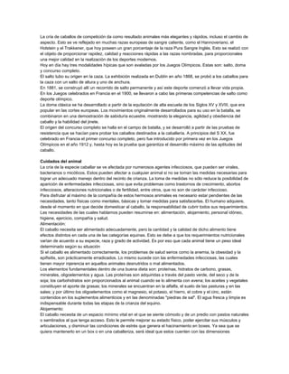 La cría de caballos de competición da como resultado animales más elegantes y rápidos, incluso el cambio de
aspecto. Esto se ve reflejado en muchas razas europeas de sangre caliente, como el Hannoveriano, el
Holstein y el Trakkener, que hoy poseen un gran porcentaje de la raza Pura Sangre Inglés. Esto se realizó con
el objeto de proporcionar rapidez, calidad y reacciones rápidas a las razas nombradas, para proporcionales
una mejor calidad en la realización de los deportes modernos.
Hoy en día hay tres modalidades hípicas que son avaladas por los Juegos Olímpicos. Estas son: salto, doma
y concurso completo.
El salto tubo su origen en la caza. La exhibición realizada en Dublín en año 1868, se probó a los caballos para
la caza con un salto de altura y uno de anchura.
En 1881, se construyó allí un recorrido de salto permanente y así este deporte comenzó a llevar vida propia.
En los Juegos celebrados en Francia en el 1900, se llevaron a cabo las primeras competencias de salto como
deporte olímpico.
La doma clásica se ha desarrollado a partir de la equitación de alta escuela de los Siglos XV y XVIII, que era
popular en las cortes europeas. Los movimientos originalmente desarrollados para su uso en la batalla, se
combinaron en una demostración de sabiduría ecuestre, mostrando la elegancia, agilidad y obediencia del
caballo y la habilidad del jinete.
El origen del concurso completo se halla en el campo de batalla, y se desarrolló a partir de las pruebas de
resistencia que se hacían para probar los caballos destinados a la caballería. A principios del S XX, fue
celebrado en Francia el primer concurso completo, pero fue introducido por primera vez en los Juegos
Olímpicos en el año 1912 y, hasta hoy es la prueba que garantiza el desarrollo máximo de las aptitudes del
caballo.
Cuidados del animal
La cría de la especie caballar se ve afectada por numerosos agentes infecciosos, que pueden ser virales,
bacterianos o micóticos. Estos pueden afectar a cualquier animal si no se toman las medidas necesarias para
lograr un adecuado manejo dentro del recinto de crianza. La toma de medidas no sólo reduce la posibilidad de
aparición de enfermedades infecciosas, sino que evita problemas como trastornos de crecimiento, abortos
infecciosos, alteraciones nutricionales o de fertilidad, entre otros, que no son de carácter infeccioso.
Para disfrutar al máximo de la compañía de estos hermosos animales es necesario estar pendientes de las
necesidades, tanto físicas como mentales, básicas y tomar medidas para satisfacerlas. El humano adquiere,
desde el momento en que decide domesticar al caballo, la responsabilidad de cubrir todos sus requerimientos.
Las necesidades de las cuales hablamos pueden resumirse en: alimentación, alojamiento, personal idóneo,
higiene, ejercicio, compañía y salud.
Alimentación:
El caballo necesita ser alimentado adecuadamente, pero la cantidad y la calidad de dicho alimento tiene
efectos distintos en cada una de las categorías equinas. Esto se debe a que los requerimientos nutricionales
varían de acuerdo a su especie, raza y grado de actividad. Es por eso que cada animal tiene un peso ideal
determinado según su situación
Si el caballo es alimentado correctamente, los problemas de salud serios como la anemia, la obesidad y la
epifisitis, son prácticamente erradicados. Lo mismo sucede con las enfermedades infecciosas, las cuales
tienen mayor injerencia en aquellos animales desnutridos o mal alimentados.
Los elementos fundamentales dentro de una buena dieta son: proteínas, hidratos de carbono, grasas,
minerales, oligoelementos y agua. Las proteínas son adquiridas a través del pasto verde, del seco y de la
soja; los carbohidratos son proporcionados al animal cuando se lo alimenta con avena; los aceites y vegetales
constituyen el aporte de grasas; los minerales se encuentran en la alfalfa, el suelo de las pasturas y en las
sales; y por último los oligoelementos como el magnesio, el potasio, el hierro, el cobre y el cinc, están
contenidos en los suplementos alimenticios y en las denominadas "piedras de sal". El agua fresca y limpia es
indispensable durante todas las etapas de la crianza del equino.
Alojamiento:
El caballo necesita de un espacio mínimo vital en el que se siente cómodo y de un predio con pastos naturales
o sembrados al que tenga acceso. Esto le permite mejorar su estado físico, poder ejercitar sus músculos y
articulaciones, y disminuir las condiciones de estrés que genera el hacinamiento en boxes. Ya sea que se
quiera mantenerlo en un box o en una caballeriza, será ideal que estos cuenten con las dimensiones

 