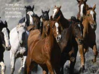 Yo me afano;
mas no en vano.
Sé mi oficio,
y en servicio
 