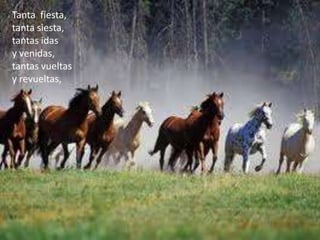 Tanta fiesta,
tanta siesta,
tantas idas
y venidas,
tantas vueltas
y revueltas,
 