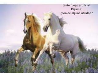 tanto fuego artificial.
         Dígame:
¿son de alguna utilidad?
            .
 