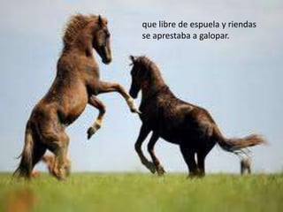 que libre de espuela y riendas
se aprestaba a galopar.
 
