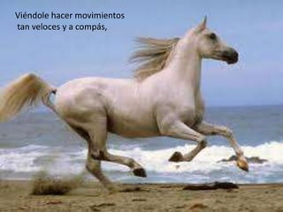 Viéndole hacer movimientos
tan veloces y a compás,
 