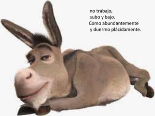 no trabajo,
subo y bajo.
Como abundantemente
y duermo plácidamente.
 