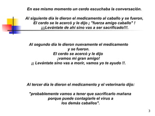 En ese mismo momento un cerdo escuchaba la conversación.  Al siguiente día le dieron el medicamento al caballo y se fueron,  El cerdo se le acercó y le dijo ¡ "fuerza amigo caballo" !  ¡¡¡Levántate de ahí sino vas a ser sacrificado!!!. Al segundo día le dieron nuevamente el medicamento y se fueron. El cerdo se acercó y le dijo  ¡vamos mi gran amigo! ¡¡ Levántate sino vas a morir, vamos yo te ayudo !!. Al tercer día le dieron el medicamento y el veterinario dijo: "probablemente vamos a tener que sacrificarlo mañana  porque puede contagiarle el virus a los demás caballos". 