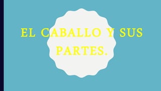 EL CABALLO Y SUS
PARTES.
 