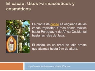 El cacao: Usos Farmacéuticos y
cosméticos
La planta de cacao es originaria de las
zonas tropicales. Crece desde México
hasta Paraguay y de África Occidental
hasta las islas de Java.
El cacao, es un árbol de tallo erecto
que alcanza hasta 9 m de altura.
http://www.misabueso.com/salud/Cacao
 
