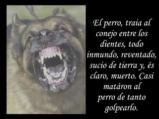 El perro, traia al conejo entre los dientes, todo inmundo, reventado, sucio de tierra y, és claro, muerto. Casi matáron al perro de tanto golpearlo. 