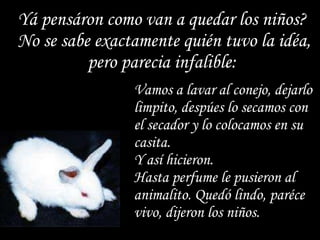 Yá pensáron como van a quedar los niños?  No se sabe exactamente quién tuvo la idéa, pero parecia infalible:  Vamos a lavar al conejo, dejarlo limpito, despúes lo secamos con el secador y lo colocamos en su casita.  Y así hicieron.  Hasta perfume le pusieron al animalito. Quedó lindo, paréce vivo, dijeron los niños.  