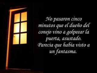 No pasaron cinco minutos que el dueño del conejo vino a golpeear la puerta, asustado. Parecia que habia visto a un fantasma.  