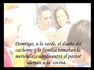 Domingo, a la tarde, el dueño del cachorro y la família tomaban la merienda, cuando entra el pastor alemán a la  cocina.  