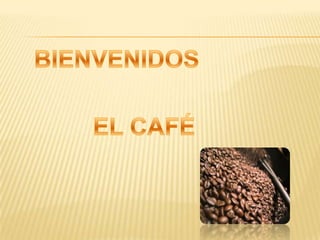 BIENVENIDOS EL CAFÉ 