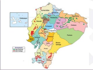 • ESPECIES PRODUCIDAS EN 
EL ECUADOR Y SU 
DISTRIBUCION 
Arábigo Lavado: Loja, Zamora Chinchipe, Manabí, El Oro, Imbabura, Carchi y Galápagos. 
Arábigo Natural: Loja, Manabí, Zamora Chinchipe, El Oro, Imbabura, Carchi y Galápagos. 
Robusta: Sucumbíos, Orellana, Napo, Pichincha, Los Ríos y Guayas. 
Industrializado (Soluble): Guayas y Manabí. 
. 
 