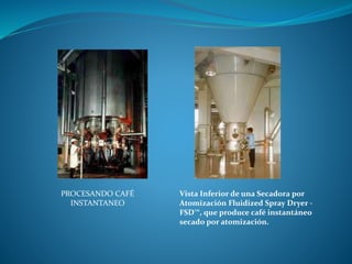 PROCESANDO CAFÉ
INSTANTANEO
Vista Inferior de una Secadora por
Atomización Fluidized Spray Dryer -
FSD™, que produce café instantáneo
secado por atomización.
 