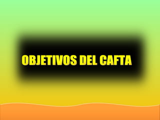 OBJETIVOS DEL CAFTA 